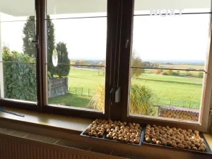 Prodej rodinného domu, Radenín, 276 m2