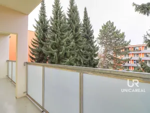 Pronájem bytu 2+1, Brno - Žabovřesky, Záhřebská, 64 m2