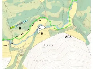 Prodej lesa, Pošná, 3636 m2