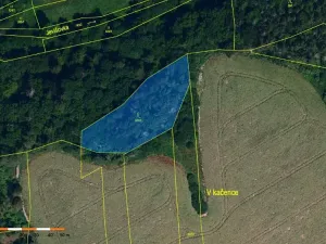 Prodej lesa, Boskovštejn, 2506 m2