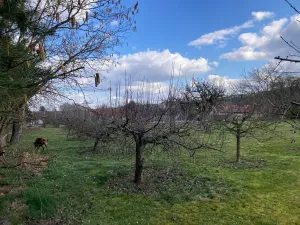 Prodej rodinného domu, Kotenčice, 342 m2