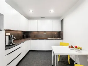 Pronájem obchodního prostoru, Praha - Holešovice, U Uranie, 270 m2