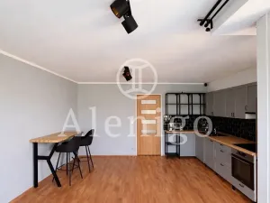 Prodej bytu 1+kk, Praha - Kbely, Pod Nouzovem, 44 m2