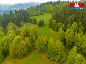 Prodej louky, Tanvald - Šumburk nad Desnou, 1444 m2