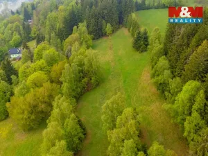 Prodej louky, Tanvald - Šumburk nad Desnou, 1444 m2