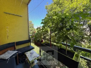 Pronájem bytu 2+1, Brno, 59 m2