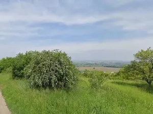 Prodej zahrady, Židlochovice, 4210 m2