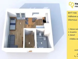 Pronájem bytu 1+kk, Olomouc, Hálkova, 30 m2