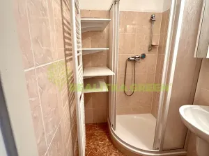 Pronájem bytu 1+kk, Ostrata, 39 m2