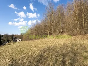 Prodej pozemku pro bydlení, Vsetín, Lázky, 9019 m2