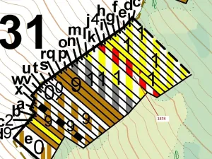 Dražba lesa, Březník, 885 m2