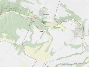 Dražba lesa, Ivančice, 741 m2