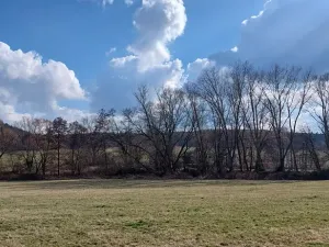Prodej podílu louky, Podluhy, 1240 m2