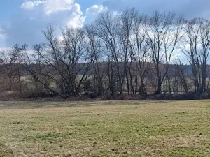 Prodej podílu louky, Podluhy, 1240 m2