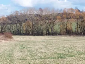 Prodej podílu louky, Podluhy, 1240 m2