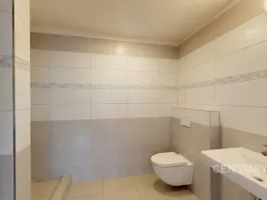 Prodej rodinného domu, Ivaň, 319 m2