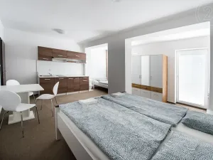 Prodej ubytování, Most, 312 m2