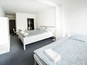 Prodej rodinného domu, Most, 312 m2