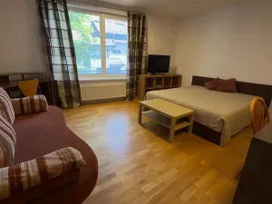 Pronájem bytu 1+kk, Brno, Vinohrady, 38 m2