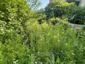 Pronájem bytu 2+1, Praha - Modřany, Klostermannova, 55 m2