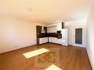 Pronájem bytu 2+kk, Plzeň, 58 m2