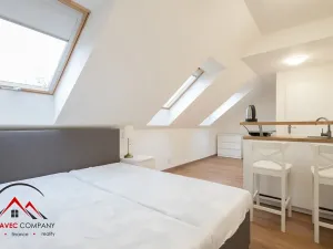 Pronájem apartmánu, Ostrava, Cihelní, 27 m2