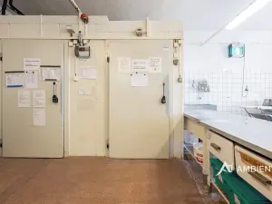 Prodej obchodního prostoru, Újezd u Brna, Nádražní, 901 m2