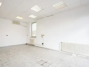 Prodej obchodního prostoru, Újezd u Brna, Nádražní, 901 m2