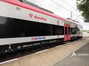 Prodej obchodního prostoru, Újezd u Brna, Nádražní, 901 m2