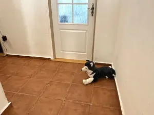 Pronájem bytu 2+kk, Břeclav, Nádražní, 43 m2