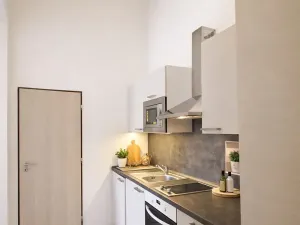 Pronájem bytu 1+1, Brno, Koliště, 31 m2