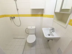 Pronájem bytu 2+kk, Praha - Vinohrady, Na Kozačce, 50 m2