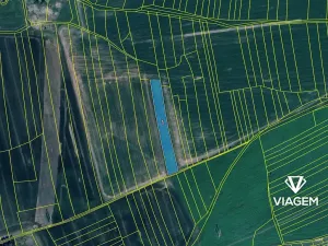 Prodej pole, Sedliště, 3759 m2