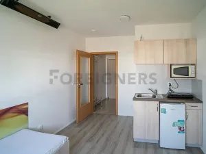 Pronájem bytu 1+kk, Pardubice, K Rozvodně, 22 m2