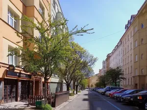 Pronájem bytu 1+1, Brno, Gorkého, 40 m2