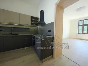 Pronájem bytu 1+1, České Budějovice, Fráni Šrámka, 40 m2