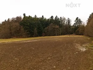 Prodej louky, Niva, 7301 m2