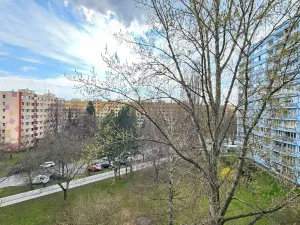 Pronájem bytu 2+1, Kolín, Dělnická, 60 m2