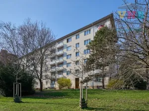 Prodej bytu 3+kk, Praha - Žižkov, Pod lipami, 70 m2