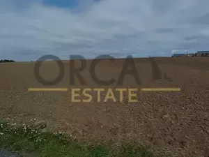 Prodej pole, Uherské Hradiště, 2307 m2