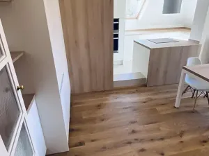 Pronájem bytu 3+1, Brno, Libušino údolí, 160 m2