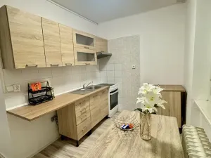 Pronájem bytu 2+1, Most, Pionýrů, 52 m2