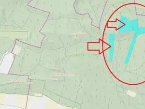 Prodej lesa, Libotenice, 63021 m2