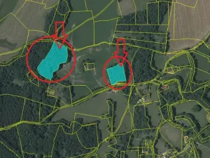 Prodej podílu lesa, Brloh, 5446 m2