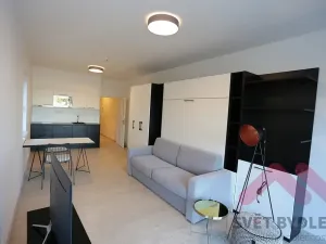 Pronájem bytu 1+kk, Praha - Karlín, U Mlýnského kanálu, 40 m2