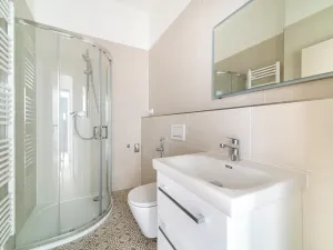 Pronájem bytu 1+kk, Brno, Palackého třída, 29 m2