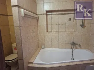 Prodej rodinného domu, Frýdlant nad Ostravicí, Hlavní, 300 m2