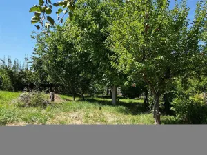 Prodej pozemku, Starý Plzenec, Heydukova, 809 m2