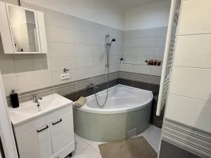 Pronájem bytu 3+1, Žatec, Ostrov, 64 m2