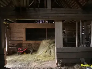 Prodej zemědělské usedlosti, Milevsko, 105 m2